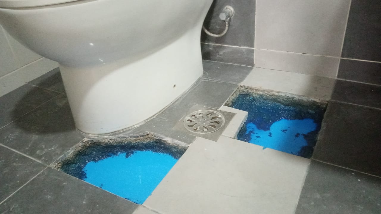 WhatsApp Image 2023-09-02 at 13.26.45